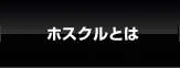 ホスプロとは