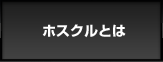 ホスプロとは